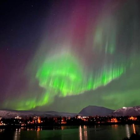 Polar Arctic View - Free Parking! Apartment Tromso Luaran gambar